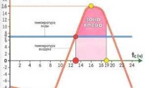 Хариус осенью: места его стоянки, повадки и ловля