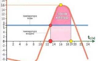 Хариус осенью: места его стоянки, повадки и ловля