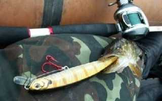 Что такое воблеры минноу, правильный выбор и подход к твичингу