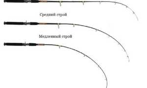 Что такое ультралайтовый спиннинг, как выбрать, ТОП-55 бланков для разных условий ловли