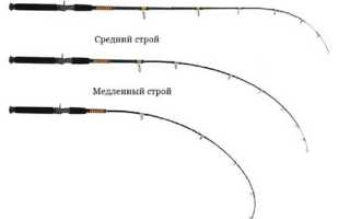 Что такое ультралайтовый спиннинг, как выбрать, ТОП-55 бланков для разных условий ловли
