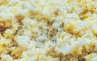 Рецепт приготовления салапинской каши для фидера