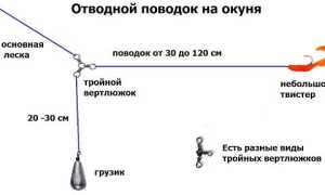 Ловля на отводной поводок осенью — особенности и секреты
