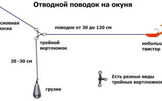 Ловля на отводной поводок осенью — особенности и секреты