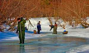 Зимняя рыбалка на окуня: поиск, зимние приманки и проводки, снасть