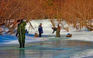 Зимняя рыбалка на окуня: поиск, зимние приманки и проводки, снасть