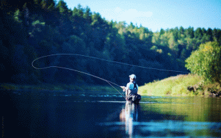 Рыбалка нахлыстом для начинающих: снасти, мушки и особенности рыбалки