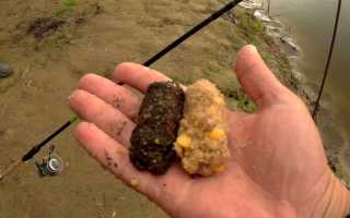 Ловля леща на поплавочную удочку в стоячей воде и на течении