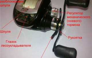 Выбор мультипликаторной катушки для спиннинга: обзор, рейтинг, параметры