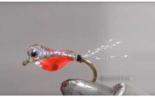 Ловля окуня на пыздрик