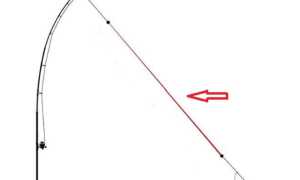 Что такое шок лидер в рыбалке, как его вязать и какой толщины он должен быть