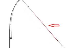 Что такое шок лидер в рыбалке, как его вязать и какой толщины он должен быть