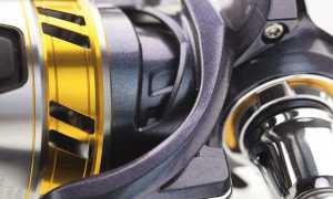 Daiwa Regal 18 LT 2500D: обзор, технические характеристики, отзывы