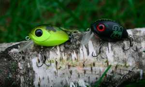 Лучшие воблеры на голавля: ТОП-50 уловистых моделей, как ловить лобастого