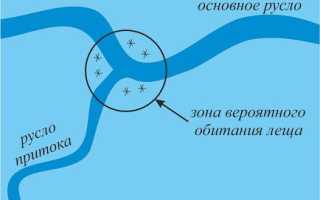 Ловля леща зимой на мормышку: уловистые модели для течения и стоячей воды