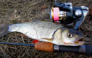 Уловистые жереховые блесны: вертушки, колебалки, девоны и другие приманки