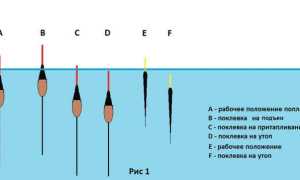 Правильная огрузка поплавка, выбираем идеальное соотношение грузила