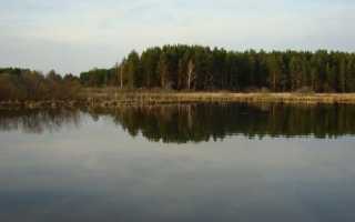 Со спиннингом ранней весной