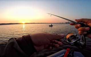 Ловля рыбы в сентябре: рыбалка с берега и лодки, календарь клева