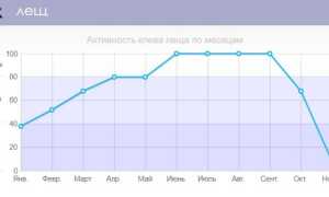 Ловля леща весной на поплавок, фидер, донку