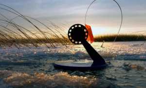 Ловля форели зимой на жерлицы и поставушки