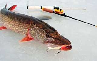 Ловля щуки на балансиры зимой: как выбрать лучшие, техника ловли со льда, снасть