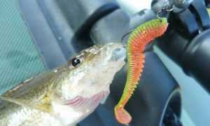 Микроджиг для начинающих: теория, практика и видео-советы экспертов