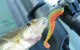 Микроджиг для начинающих: теория, практика и видео-советы экспертов