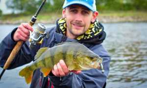 Рыбалка в Ленинградской области — где ловить рыбу на водоемах Ленобласти и СПБ