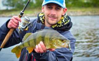 Рыбалка в Ленинградской области — где ловить рыбу на водоемах Ленобласти и СПБ