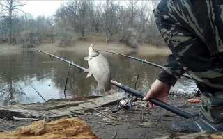 Ловля карася в весеннее время на поплавочную удочку