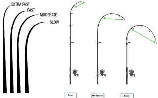 Как выбрать спиннинг на щуку, какой фирмы, какого теста, строя