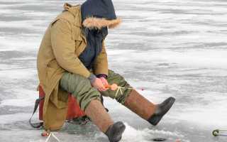 Обувь для зимней рыбалки: лучшие мужские и женские сапоги, валенки, ботинки