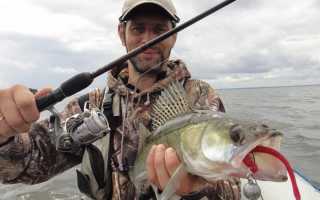 Судак осенью на водохранилище