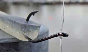 Оснастка дроп шот на окуня: схемы монтажа с фото, подача и проводка