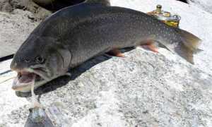 Зимняя рыбалка в Якутии — сезон 2025 годов открыт