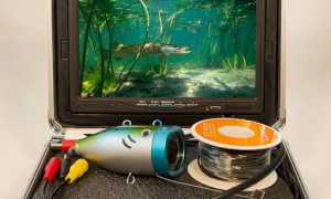 Как выбрать подводную видеокамеру для зимней рыбалки: характеристики и цены