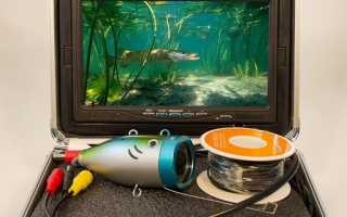 Как выбрать подводную видеокамеру для зимней рыбалки: характеристики и цены