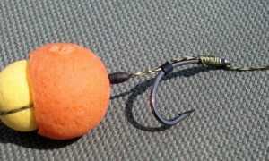 Монтаж волосяной оснастки и применение для ловли карпа, сазана, карася