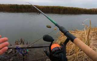 Рыбалка в ноябре: ловля с берега и лодки, календарь клева 2025