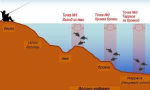 Ловля леща на фидер на реке и водоемах без течения: оснастка, тактика рыбалки