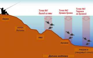 Ловля леща на фидер на реке и водоемах без течения: оснастка, тактика рыбалки