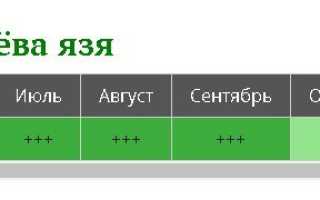 Как ловить язя осенью: снасти, приманки и тактика поиска