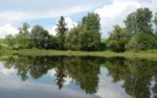 Карта рыбных мест Озернинского водохранилища