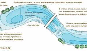Ловля голавля осенью — лучшие снасти, приманки, наживки в сентябре, октябре, ноябре