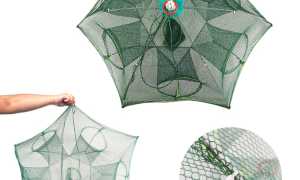 Приманка ловушка рыболов — как работает «раколовка-рыболовка» зонтик?