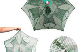 Приманка ловушка рыболов — как работает «раколовка-рыболовка» зонтик?