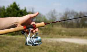 Как выбрать спиннинг для микроджига: критерии, бюджетные и топовые модели на 2025 год