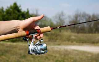 Как выбрать спиннинг для микроджига: критерии, бюджетные и топовые модели на 2025 год
