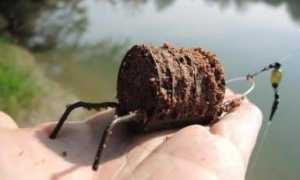 Фидерные кормушки для сильного течения — как выбрать и как использовать